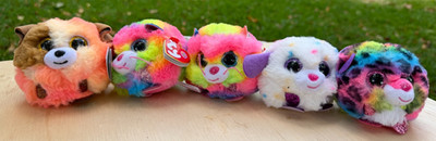 TY Puffies Collection Lot of 5 Mandarin Gizmo(2) Munchkin Dotty New with Tags!