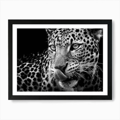 Leopard in Schwarz-Weiß Kunstdruck gerahmtes Wandbild Poster Leinwanddruck Bild