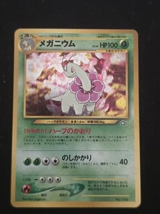 Japanese Meganium | eBay