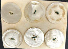 Lot of 6 Large Antique/ Vintage MOP /Shell Buttons #4507