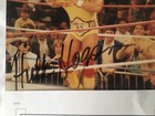 Hulk Hogan Autographed 8 by 10 photo. Has COA  — photo 3