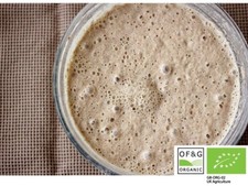Pan integral de centeno iniciador de masa madre orgánico certificado de 44 años 80 g