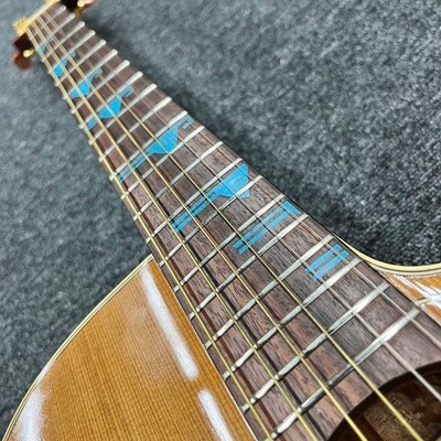 Electric Acoustic Guitar Takamine SANTA F.E ESF -93 Natural Made