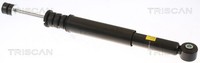 2X StoßDäMpfer Triscan 8705 25201 FüR Renault Twingo 2 CN0D 16V CN04 CN0B CN0K