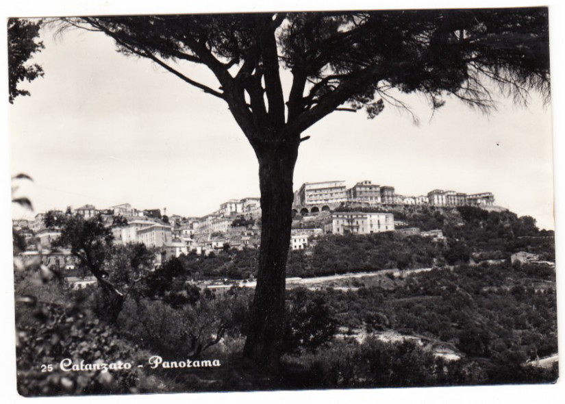 26-03985 - CATANZARO - PANORAMA VIAGGIATA 1950