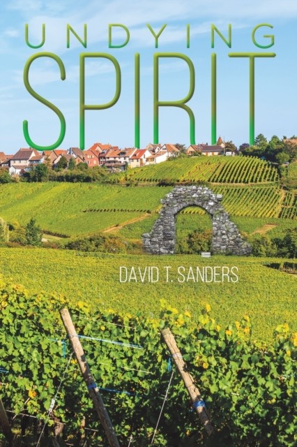 Undying Spirit by David T Sanders (Paperback Book)
