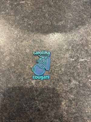 VINTAGE RARE ABA CAROLINA COUGARS RUBBER STANDINGS BOARD FRIDGE MAGNET  