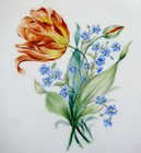 Bild 2 von 11