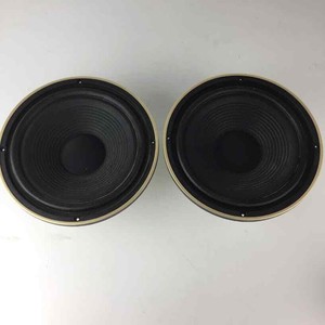 pioneer 10 speaker