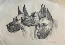 Great  Dane 3 heads Ltd Ed signed print by Martha Van Loan 20 x24