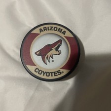 Arizona Coyotes Hockey Pick Vintage