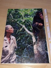 Jane Goodall Signed Autogramm Autograph 20x30cm High Quality Foto