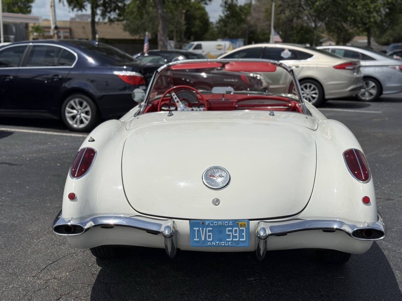 1959 White Chevrolet Corvette   | C1 Corvette Photo 4