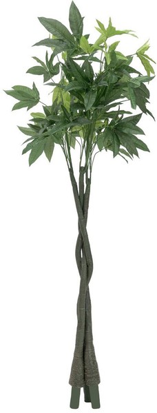 Europalms Pachirabaum, 160Cm-image