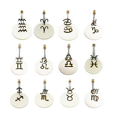 KEESOON- Branding Iron Constellations Zodiac Stainless Steel Branding Iron fo...