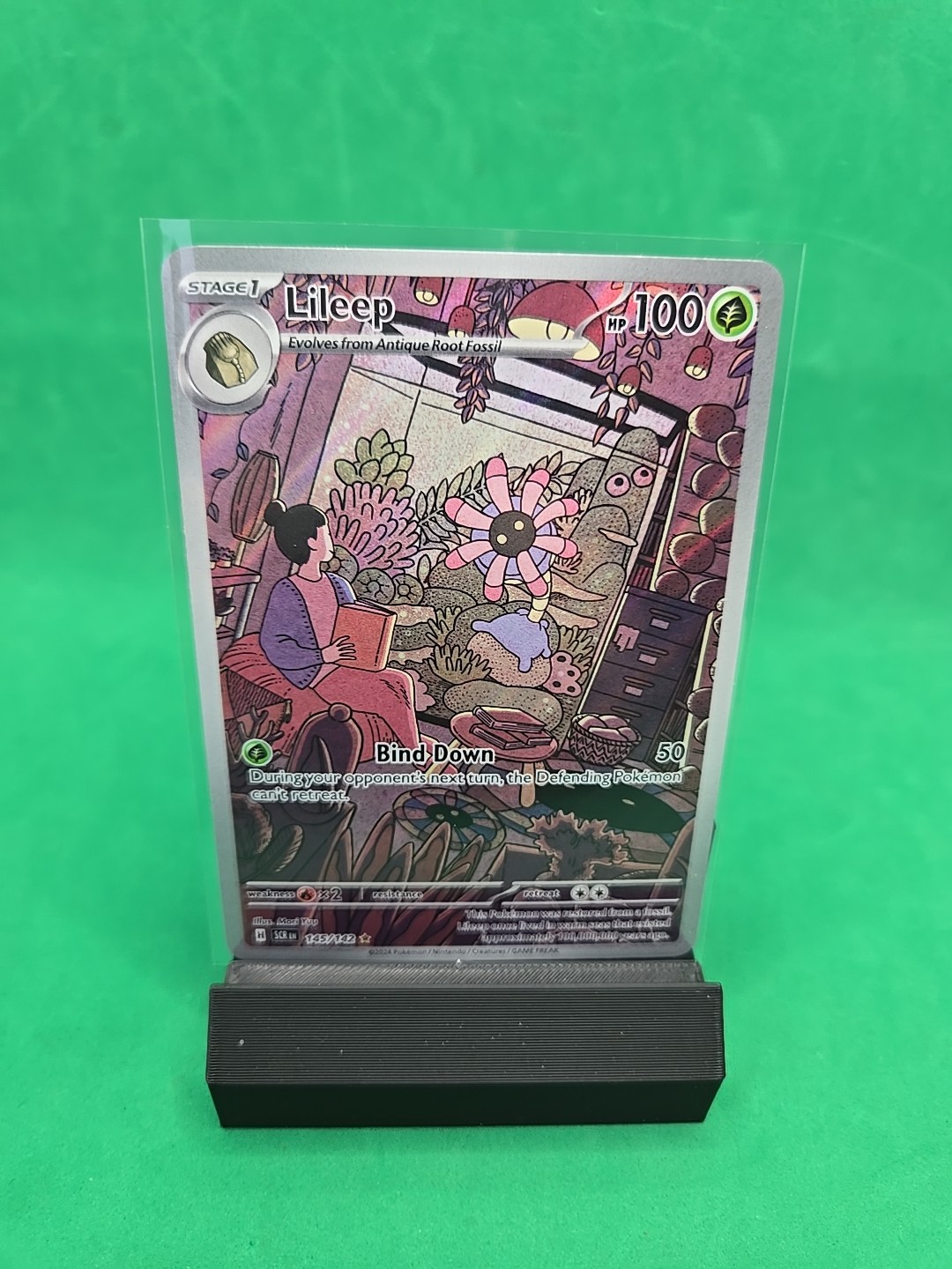 Pokemon Card - Lileep Stellar Crown 145/142 Holo Illustration Rare