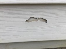SmartPatch Vinyl Siding Repair Kit: 2 Large D...