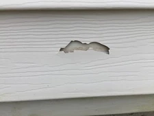 SmartPatch Vinyl Siding Repair Kit: 2 Large Durable Self-Adhesive Patches EASY!!