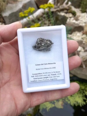 Campo del Cielo Meteorite - 231g Iron-Nickel Meteorite from Argentina