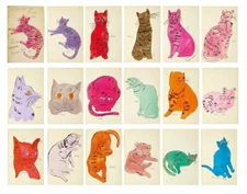 Andy Warhol 25 Cats Name Sam And One Blue Pussy Canvas Print 16 x 20