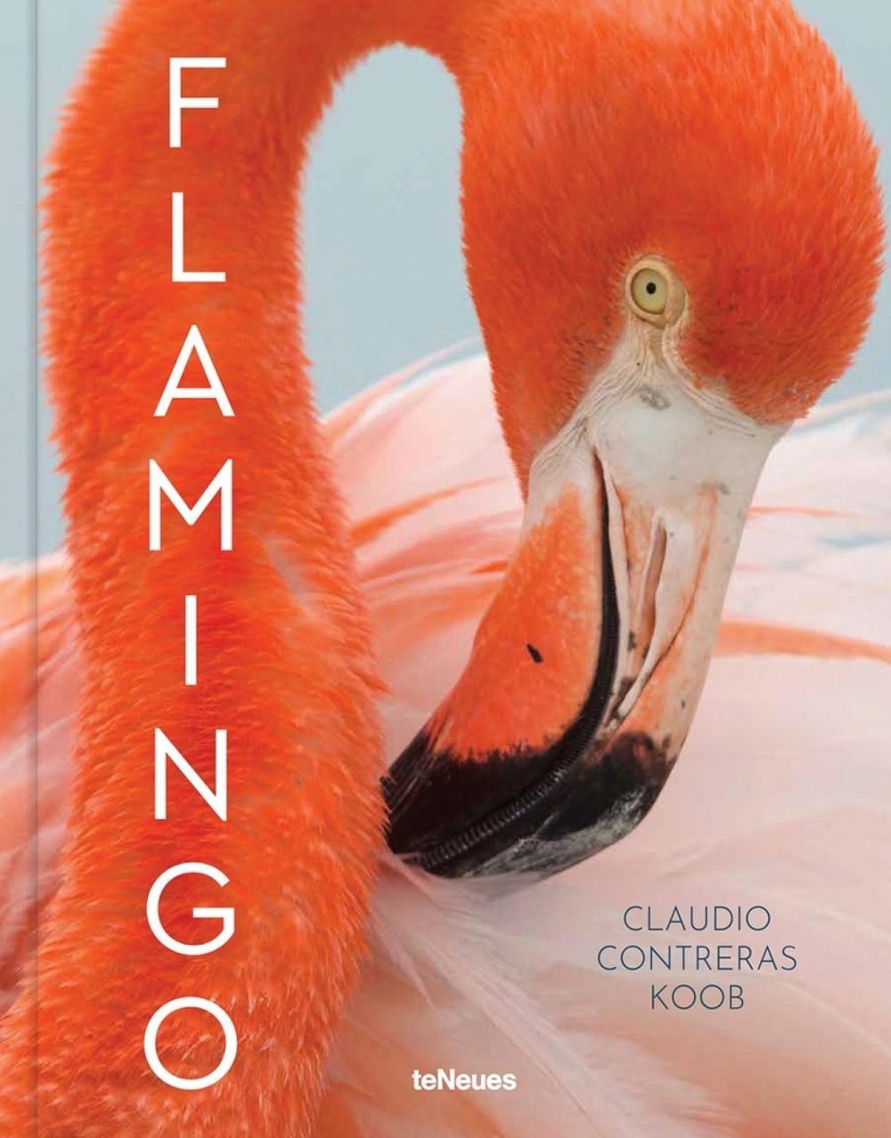Flamingo by Claudio Contreras Koob (English) Hardcover Book NEW WRAPPED
