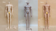 BJD 1/3 Male Boy Body For DOLL Naked Resin Without Head No Body Blushing 75cm