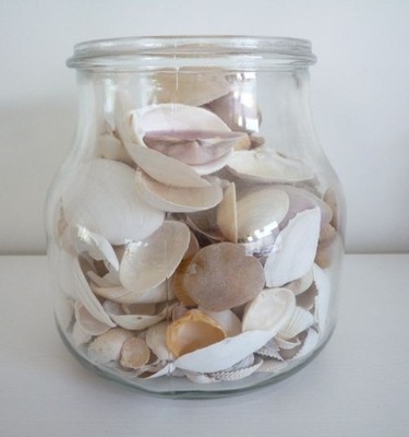 Ikea Vorratsglas mit Muscheln 102.398.88