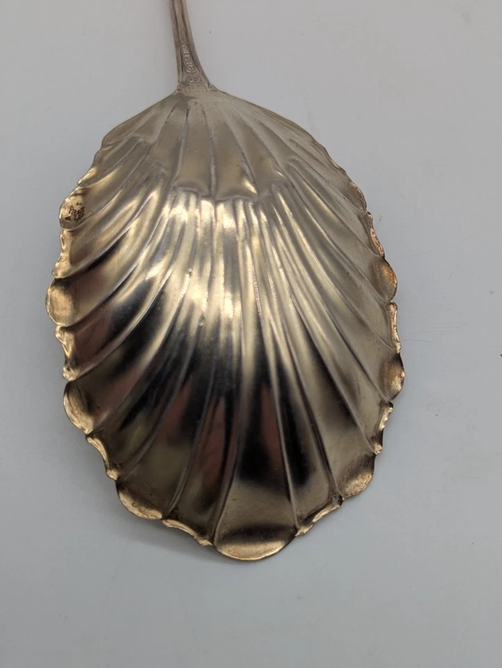 Toalha antiga Albany ouro lavagem prata esterlina colher de açúcar c1890 9,25" - Imagem 4 de 4