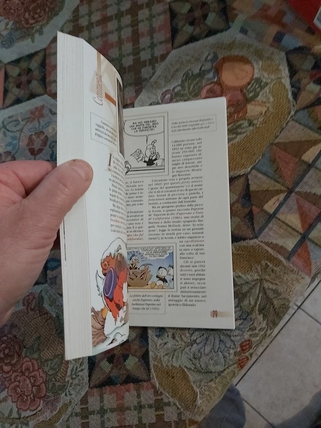 Foto 7 di 11