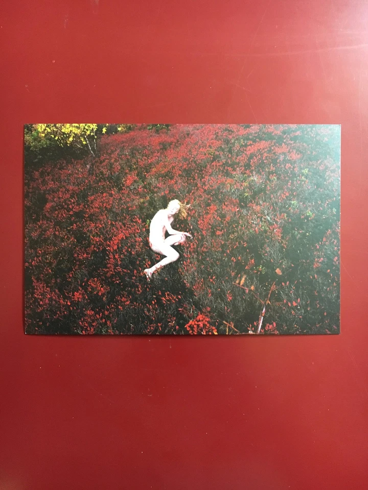 4 tarjetas postales raras de RYAN McGINLEY OTOÑO/INVIERNO tarjeta impresa sol y salud leche de luna Foto 2 de 4
