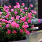 Bild 52 von 77