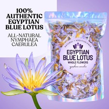 Authentic Egyptian Blue Lotus Rare Light Petal Nymphaea Caerulea