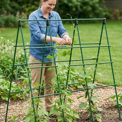 A-Frame Gartenspalier für Kletterpflanzen - Gurkenstütze