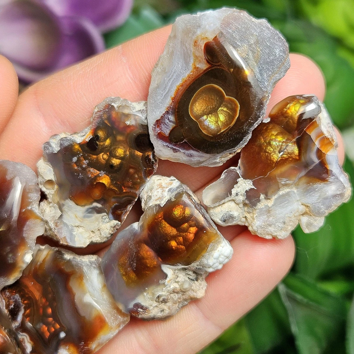 fire agate products for sale | eBay