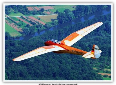 DFS Rhnsperber Aircraft