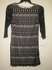 RN Studio Black Lace Shift Dress Size 8P (NWT)