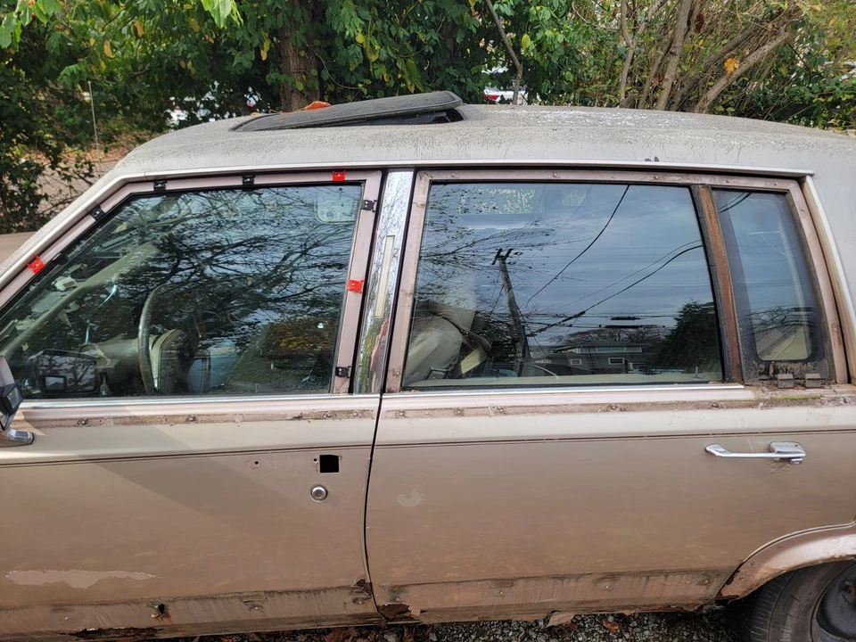 Cadillac Brougham RWD Door Window Frame Chrome Molding Trim Clips FULL SET R+L - Изображение 4 из 4