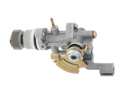 Ölpumpe komplett für Minarelli 50 2 Takt Motoren 1E40QMB