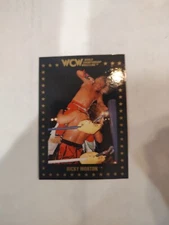 1991 Championship Marketing WCW - #30 Ricky Morton (RC)(PWE)