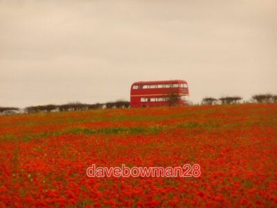FOTO COMPTON ABBAS: LONDONER BUS AUF AUSGEBREITETEM ADLERHÜGEL DIESER BUS WIRD ARBEIT HABEN