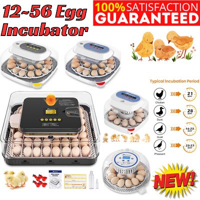 12/18/24/56 Egg Incubator for Chicken Eggs Automatic Egg Turning 360° View Gift-