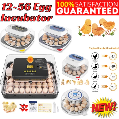 12/18/24/56 Egg Incubator for Chicken Eggs Automatic Egg Turning 360° View Gift-