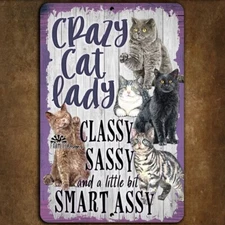 Crazy Cat Lady Sign handmade black tabby, tuxedo ginger cats decor gift metal