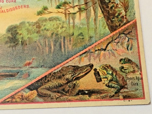 TARJETA ADV AYER'S AGUE CURE - Imagen 2 de 4
