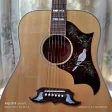 Gibson Dove 2024