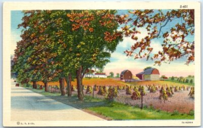 #ad #ad Postcard Rural Scene Art Print $8.31