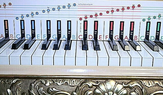 Adult Beginners Music Book Learn to Play Piano & Keyboard in 1 hour GUARANTEED   - Image 4 of 4