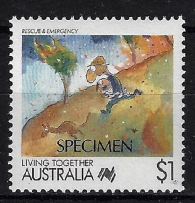 標本 Australia Themognatha fortnumi 29mm s-l400.jpg