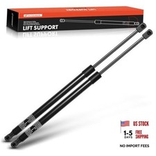 Tailgate Rear Liftgate Lift Supports Shock Struts Compatible with Lincoln