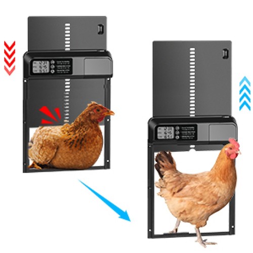 Alu Hühnerklappe Elektrisch Hühnertür Hühnerstalltür Automatische mit/ohne Solar - Bild 24 von 57